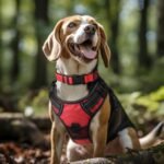 Joytale Reflective Dog Collar, Adjustable Neoprene Padded, Red L - Image 2