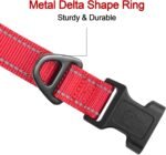 Joytale Reflective Dog Collar, Adjustable Neoprene Padded, Red L - Image 3