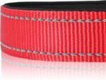 Joytale Reflective Dog Collar, Adjustable Neoprene Padded, Red L - Image 4