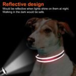 Joytale Reflective Dog Collar, Adjustable Neoprene Padded, Red L - Image 5