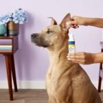 Miracle Care Ear Powder for Dogs and Cats, 12 Grams - Image 3
