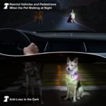 Dog Collar Light, 4 Modes Dog Lights for Night Walking, Rechargeable LED Pet Collar Light for Nighttime Clip on, IP68 Waterproof Pet Walking Accessories-2 Pack(Black) - Image 6