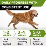 STRELLALAB Advanced Glucosamine for Dogs, Chondroitin MSM Joint Supplement - Image 5