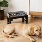 PAWISE Elevated Dog Bowl Stand, Raised Dog Feeding Station with 6 Adjustable Heights, 1 Slow Feeder & 2 Stainless Steel Bowls, Splash-Proof for Small Medium Large Dogs - Image 7