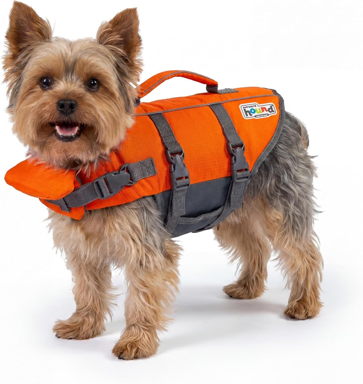 Outward Hound Granby Splash Dog Life Jacket, Life Vest, Orange, X-Small Outward Hound Granby Splash Dog Life Jacket, Life Vest, Orange, X-Small