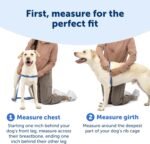 PetSafe Easy Walk Deluxe Dog Harness, No Pull Dog Harness – Perfect for Leash & Harness Training – Stops Pets from Pulling and Choking on Walks – Large, Steel - Image 4