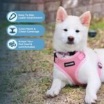 Voyager Step-in Lock Dog Harness - Pink, Small - Image 3