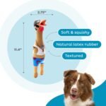 Outward Hound Squawkers Squeaky Latex Dog Toy, Earl, 11.4" - Image 3