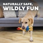 Outward Hound Squawkers Squeaky Latex Dog Toy, Earl, 11.4" - Image 4