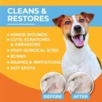 Paw Science Skin & Wound Care Spray for Dogs & Cats – Lick-Safe Antiseptic Healing Aid, Itch Relief & Skin Repair Treatment for Hot Spots, Rashes, Cuts, Burns, & Irritation - Image 3