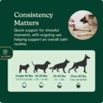 Reggie Anytime Calming Drops for Dogs | Dog Anxiety Relief with L-Theanine, Melatonin, GABA & Chamomile | Fast-Acting Calming Support for Stress, Separation Anxiety, Travel & Thunderstorms | 2 fl oz - Image 4