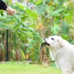 SHARLOVY Dog Toys for Large Dogs and Aggressive Chewers - Image 2