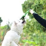SHARLOVY Dog Toys for Large Dogs and Aggressive Chewers - Image 3