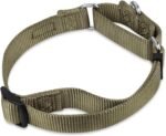 Hyhug Martingale Collar for Dogs, Large Green, Escape Proof - Image 4