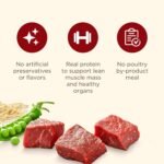Nutrish Dry Dog Food, Beef, Pea & Brown Rice, 28 lb. Bag (Rachael Ray) - Image 5