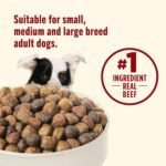 Nutrish Dry Dog Food, Beef, Pea & Brown Rice, 28 lb. Bag (Rachael Ray) - Image 6