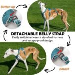 Huntboo Escape Proof Dog Harness – No Pull, No Slip, Fully Reflective, Adjustable 7-Point Design for Small, Medium, and Large Dogs – Lightweight for Outdoor Training & Hiking (Teal, M) - Image 3