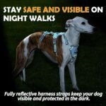 Huntboo Escape Proof Dog Harness – No Pull, No Slip, Fully Reflective, Adjustable 7-Point Design for Small, Medium, and Large Dogs – Lightweight for Outdoor Training & Hiking (Teal, M) - Image 5
