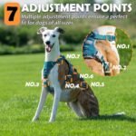 Huntboo Escape Proof Dog Harness – No Pull, No Slip, Fully Reflective, Adjustable 7-Point Design for Small, Medium, and Large Dogs – Lightweight for Outdoor Training & Hiking (Teal, M) - Image 6