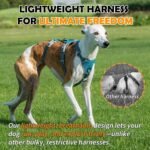 Huntboo Escape Proof Dog Harness – No Pull, No Slip, Fully Reflective, Adjustable 7-Point Design for Small, Medium, and Large Dogs – Lightweight for Outdoor Training & Hiking (Teal, M) - Image 7