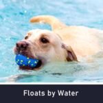 6 Pack Dog Balls Tennis Ball for Aggressive Chewers Indestructible Dog Toys - Image 6