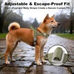 No Pull Dog Harness with Handle, Adjustable Soft Mesh Padded Vest - Image 5