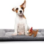 Dog Crate Pad Washable Dog Bed for Crate Medium Cozy Mat 30-Inch Gray