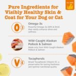 Zesty Paws Salmon Oil for Dogs & Cats - Omega 3 for Dogs 8.5oz - Image 3