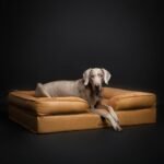 NOAH & PAW Large Dog Bed, Orthopedic Memory Cooling Foam (2X Base) 45x35x11 - Image 4