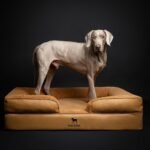NOAH & PAW Large Dog Bed, Orthopedic Memory Cooling Foam (2X Base) 45x35x11 - Image 5