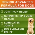 STRELLALAB Advanced Glucosamine for Senior Dogs, Chondroitin Joint Support - Image 2