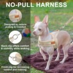 BEAUTYZOO Dog Harness Medium Sized and Leash Set, No Pull Step in Pet Vest - Image 4