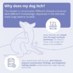 MiconaHex+Triz Shampoo for Dogs, Cats and Horses, 16 oz, Unscented - Image 3
