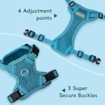 Small Dog Harness and Leash Set, Adjustable Small Sized Pet Vest - Image 3