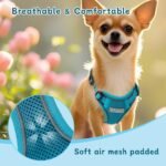Small Dog Harness and Leash Set, Adjustable Small Sized Pet Vest - Image 4