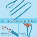 Small Dog Harness and Leash Set, Adjustable Small Sized Pet Vest - Image 5