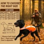 Reflective Dog Hunting Vest – Blaze Orange Safety Vest with Removable Bell, Waterproof and Lightweight (M) - Image 3