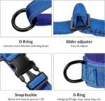 Annchwool No Pull Dog Harness with Soft Padded Handle & Front Clip(Blue,L) - Image 3