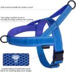 Annchwool No Pull Dog Harness with Soft Padded Handle & Front Clip(Blue,L) - Image 4