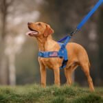 Annchwool No Pull Dog Harness with Soft Padded Handle & Front Clip(Blue,L) - Image 6