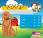 Country Brook Petz - Martingale Dog Collar - Heavy-Duty Training Collar with No Buckle - Service Dog Collar for All Pups - 20 Vibrant Colors (Lavender, 1 Inch, Medium) - Image 4