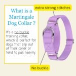 Country Brook Petz - Martingale Dog Collar - Heavy-Duty Training Collar with No Buckle - Service Dog Collar for All Pups - 20 Vibrant Colors (Lavender, 1 Inch, Medium) - Image 5