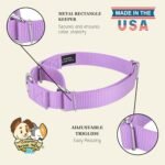 Country Brook Petz - Martingale Dog Collar - Heavy-Duty Training Collar with No Buckle - Service Dog Collar for All Pups - 20 Vibrant Colors (Lavender, 1 Inch, Medium) - Image 8