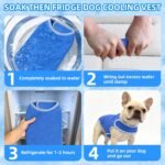 PUPTECK Dog Cooling Vest, Breathable Mesh PVA Dog Shirt, Lightweight Soft Instant Chill Sleeveless Pet Clothes, Adjustable Cooler Jacket Puppy Outfit for Hot Summer Outdoor, Blue Bear M - Image 4