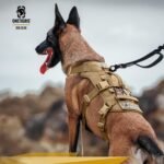 OneTigris Escape Proof Dog Harness, No Pull Dog Harness with Handles, Tactical Multi-Use Support Dogs Harnes for Large Dogs Everyday Wear Walking Hiking Training (Brown, Medium) - Image 5