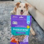 Outward Hound Nina Ottosson Puzzle Bitez Dog Treats, Pumpkin, 7.5 oz - Image 9