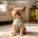 PUPTECK Dog Harness, Collar and Leash Set No Pull for Small Medium Sized - Image 3
