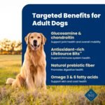 Blue Buffalo Life Protection Formula Beef Adult Dry Dog Food, 5 lb - Image 4
