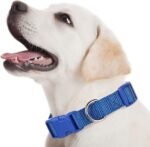 9 Pcs Adjustable Dog Collars Set for Litter, Medium, Retro Colors - Image 6