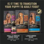 Purina Pro Plan High Protein Puppy Food, Lamb & Rice, 34 lb Bag - Image 4